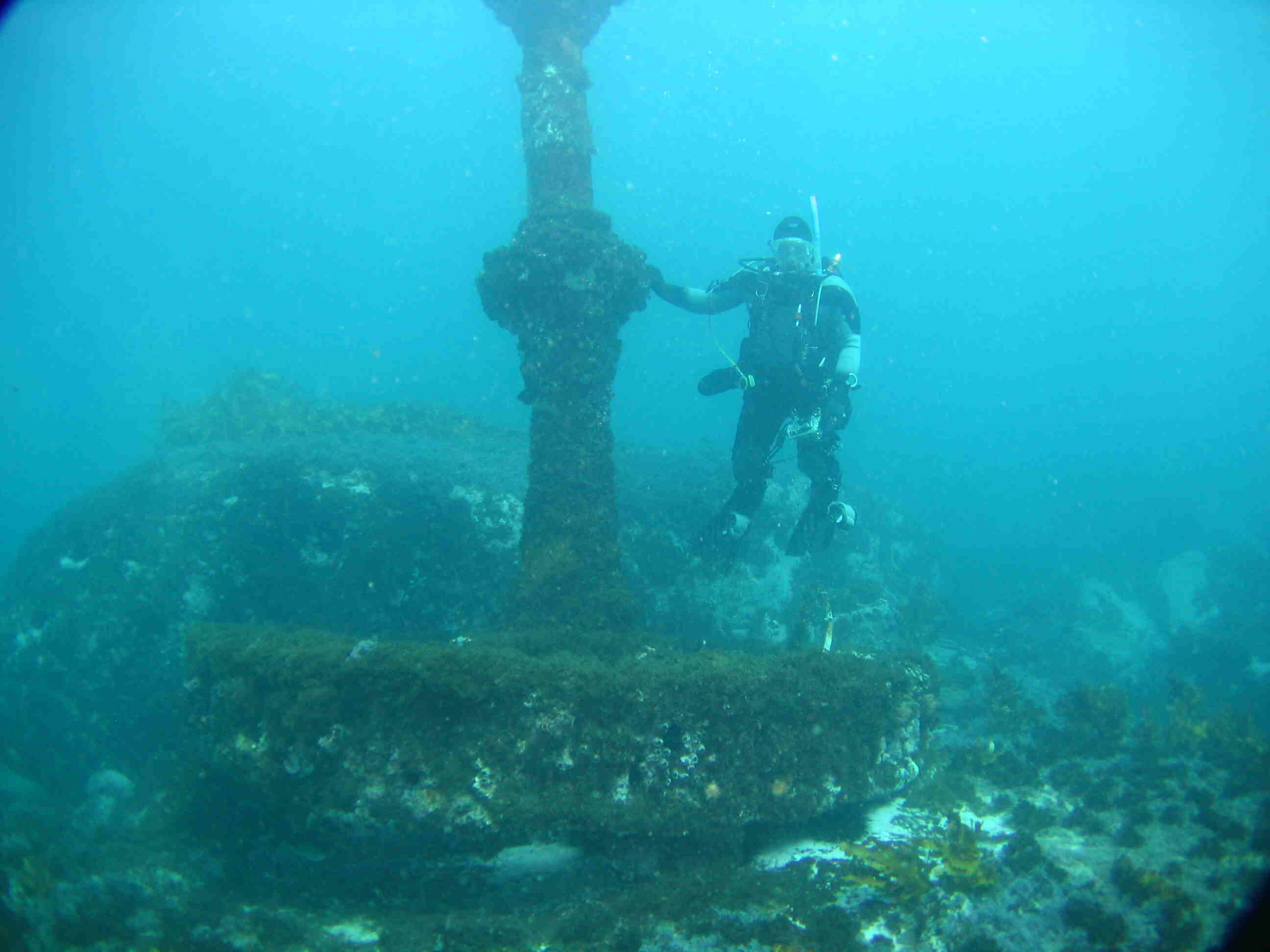 Malabar wreck 200908